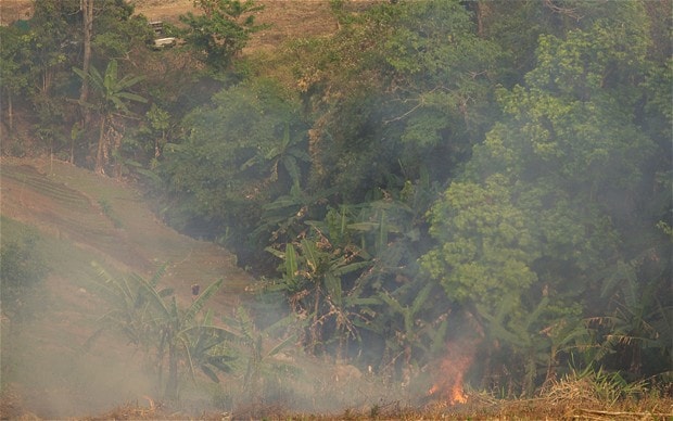 April Slash & Burn